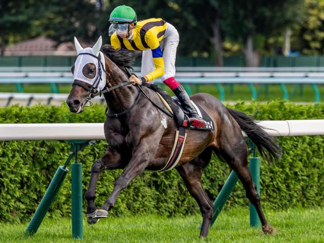 日曜の東京＆京都は道悪必至 トラックバイアスの変化に要注意