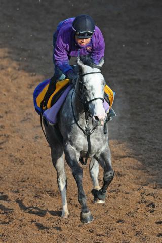 ڹG3󥨥ꥶ٥Sۥǥ󥹥ʥåƮ3塡ǥ֤褯ĥäƤޤ