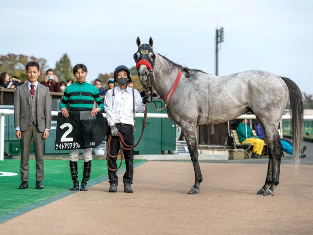 ڶӽS졼女ȡۥʥȥꥦĹε