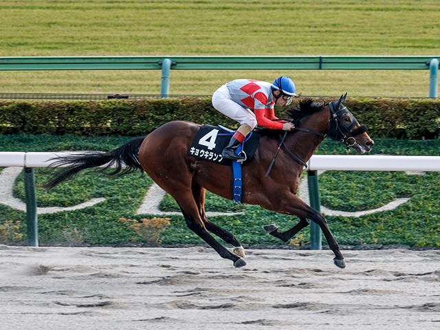 ڿʹե졼女ȡۥ祦 C.᡼뵳