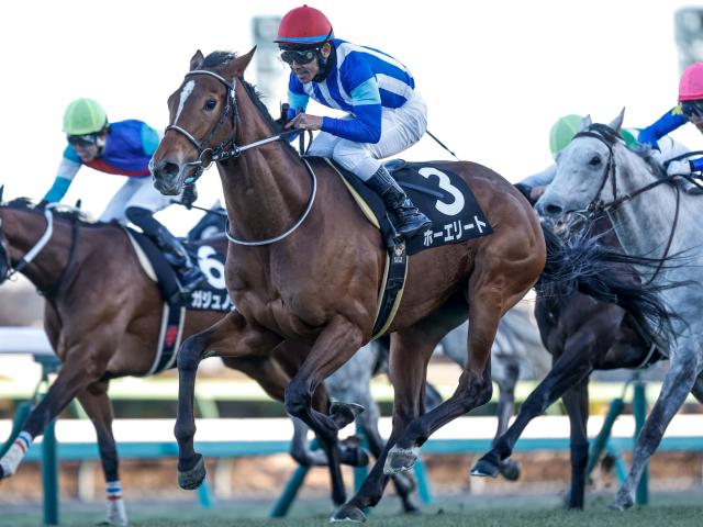 【今日の注目ポイント】AR共和国杯とみやこSの2重賞