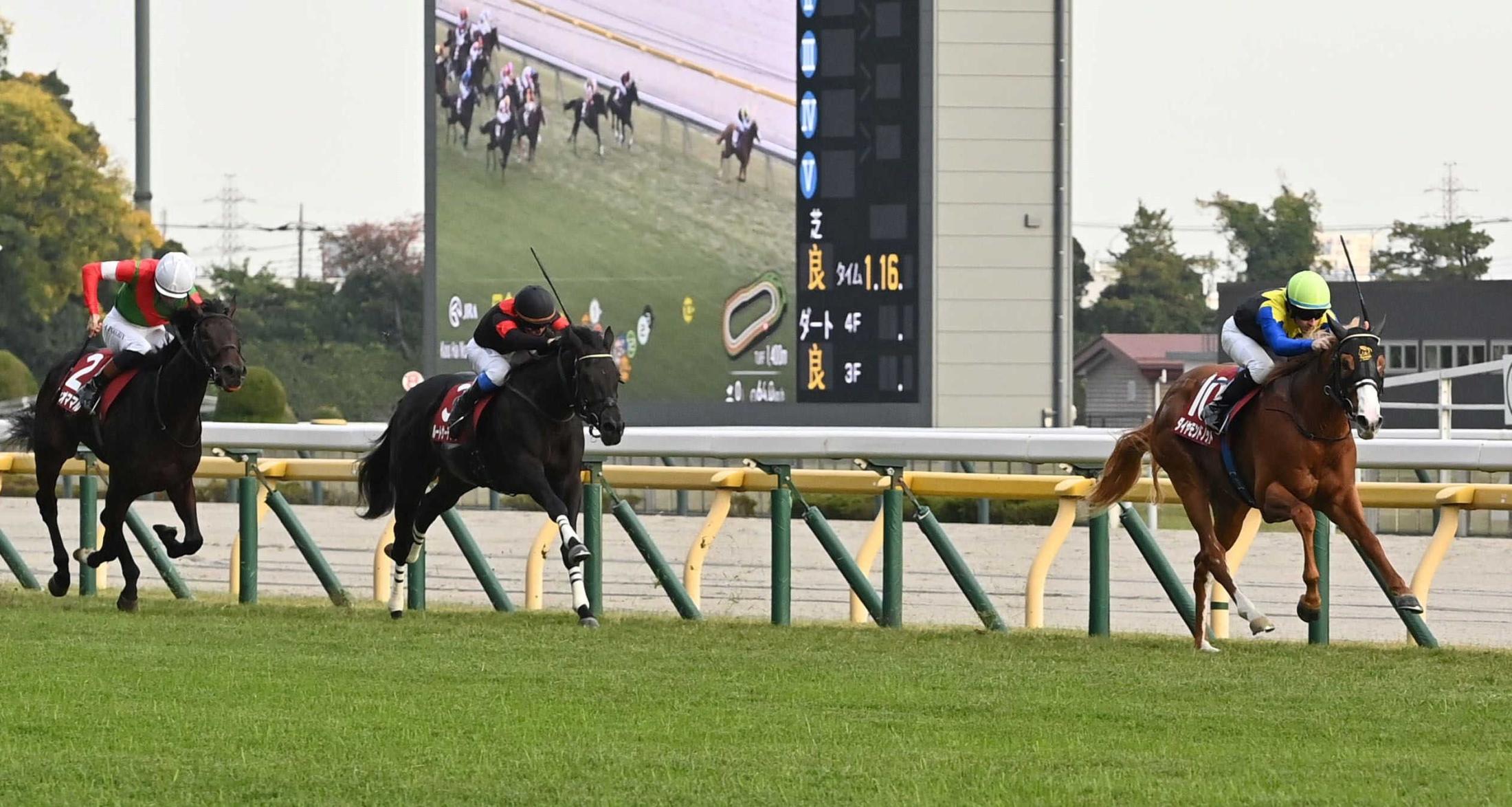 ڵգУӡۥɥΥåȡϿȺھߤޤʤ᡼̵Сɡʡʻդϡϥեȡɤ