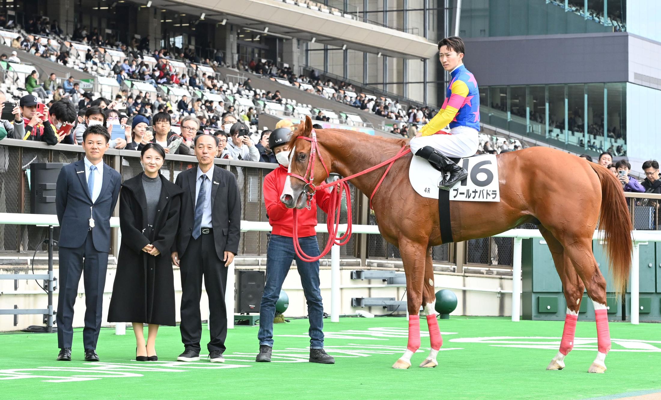 ڿۥסʥХɥ顡ȯƨڤäƣֶ֡򤷤Ƥޤ