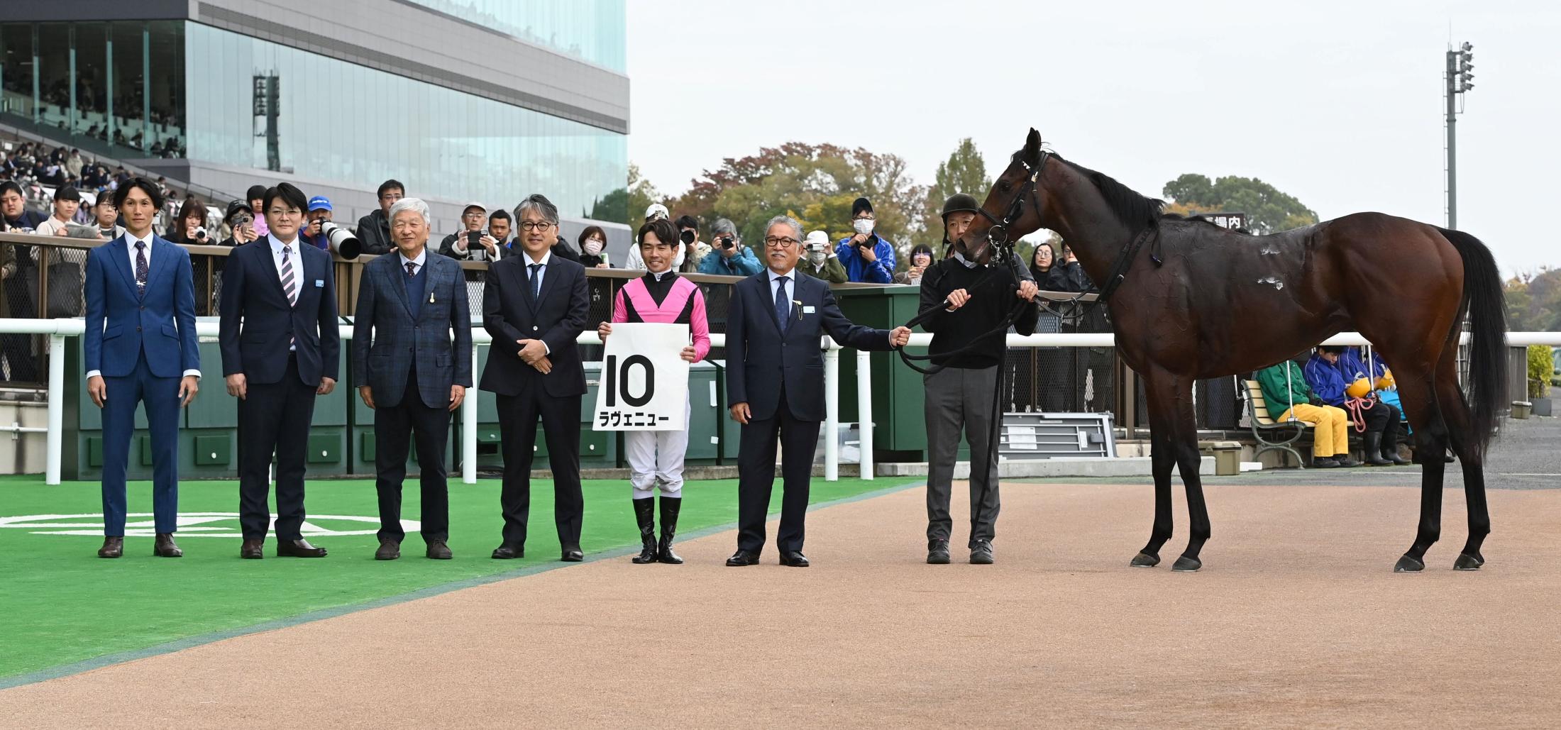 ڿۥ˥塼ϿȺȾ˽žޣϥ٥ǣο®Ͽ