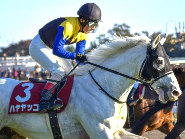 AR¹աʣΨ86%μ˺ŬʵȤϡ 10ǯΥǡʬ