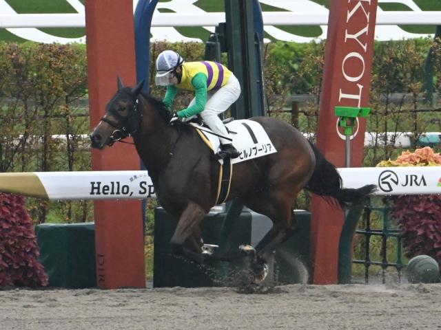 ڵ4R̡ۥߥåҥΥסꥢƨڤ