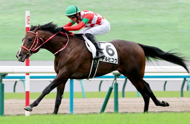 ưˤΥȥ쥤뻺ƥҥݡ2Sե꡼ϵ2S˻