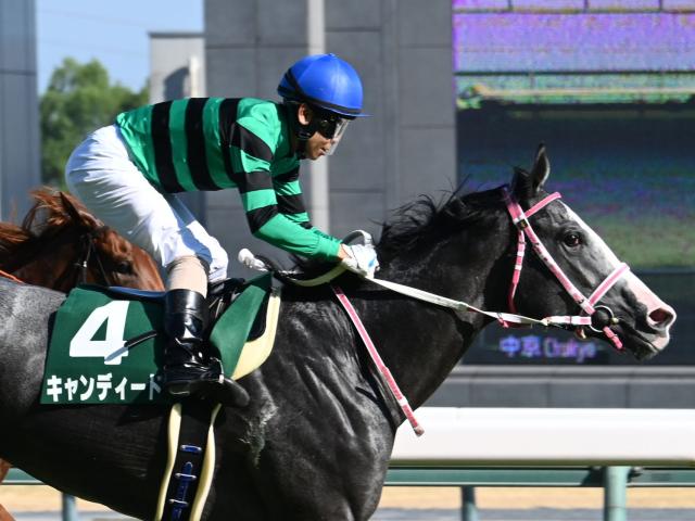 ڥǥ꡼2Sۥǥɡåĥ餬Ͽ