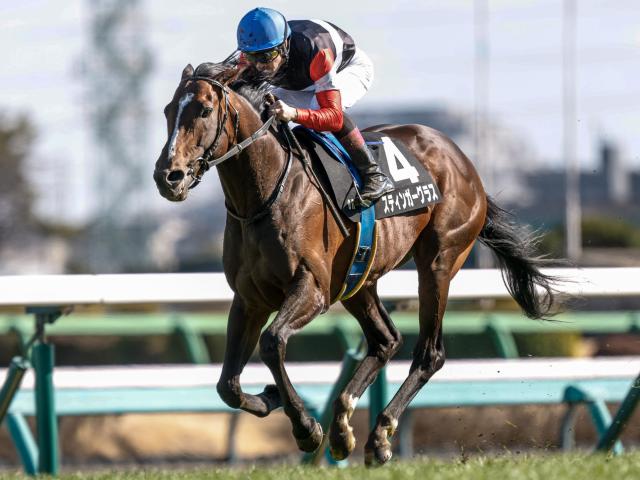 AR¹ͽۡ۷졼λѤƤ!? ǡõGII를¹