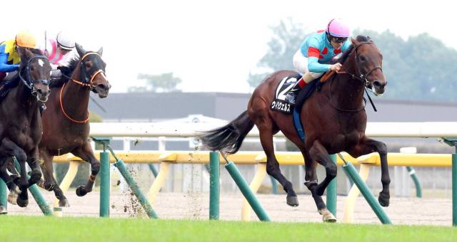 10RΥåMۥ᡼뵳굳Υȥ륦륹4Ϣǥץ