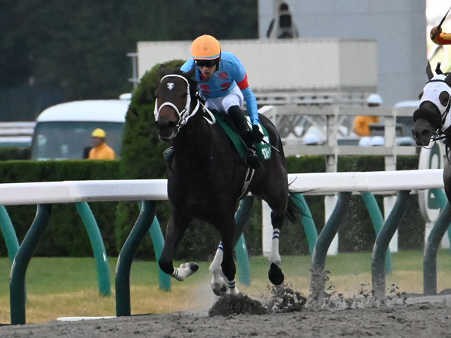 JRAWIN5WIN5Ū95ɼ554300