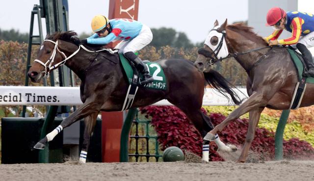 ڤߤ䤳SۥեСϡȽɤ⶯֥ϡȥܥɤJRA쥳V֤ڤߡ׺