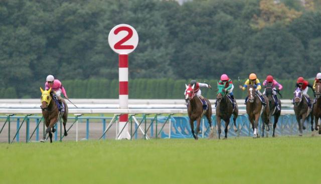 ִѽɤ᤯ۤɤƨץߥϥ륫VSץȥ祦ε!ꥶ٥ա̾