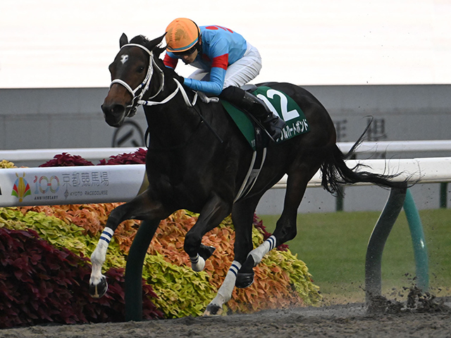 ڤߤ䤳S̡ۥ֥ϡȥܥɤڤꡢJRA쥳ɤǽž޽V