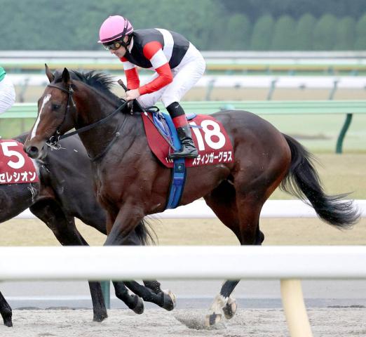 ڥ를¹աۥ᡼뵳ꥹȥå!֤ޤƨڤ줿ץƥ󥬡饹2ǳ3Ϣ³žVʤ餺