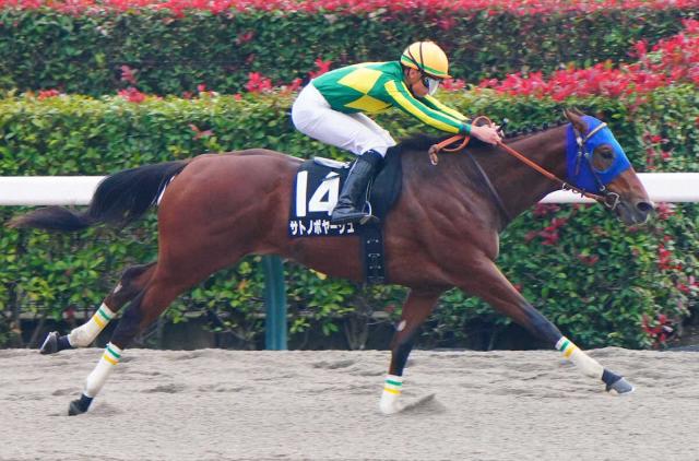 9RꥹޡۥȥΥܥ䡼夬Ϣ˾֤줫Ĺڤߡ