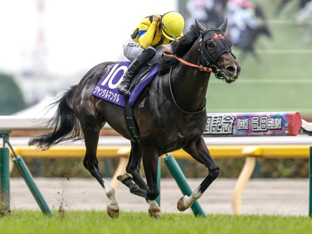 ڥޥCSۥ󥿥ޥ󥿥롢å餬Ͽ