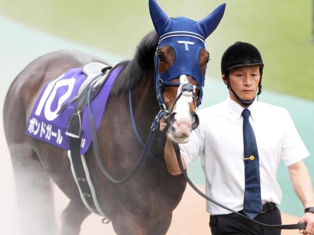 ڥꥶ٥ա֥̼ۡƣĿʡΥܥɥ GIƤʤ뤫