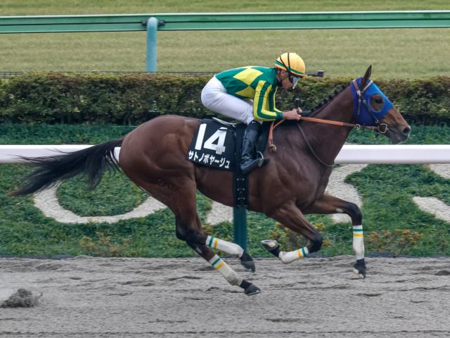 ڥꥹޥ졼女ȡۥȥΥܥ䡼˾赳