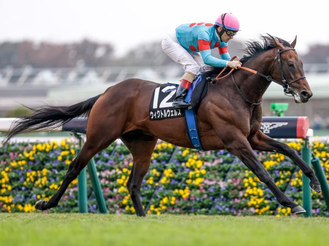 ڥΥåꥢ졼女ȡۥȥ륦륹C.᡼뵳