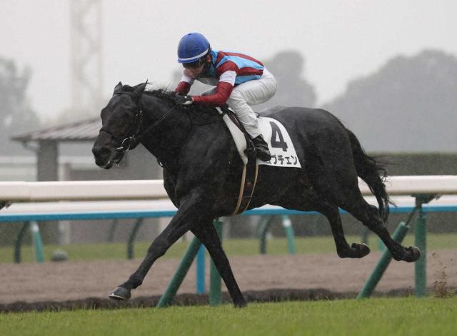 ڵԿۥ֥ƻδࡡֵΥäƤɤä