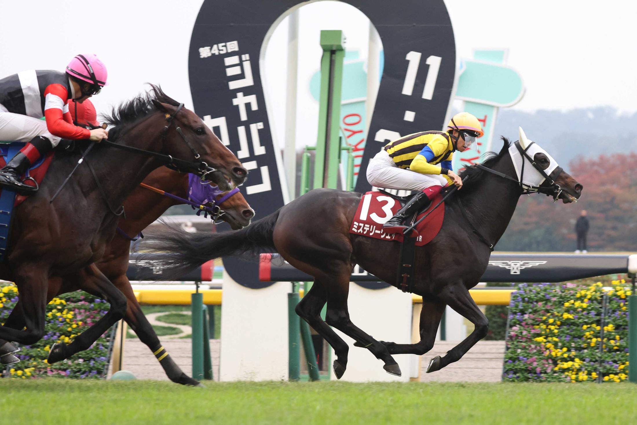 【アルゼンチン共和国杯】７歳馬ミステリーウェイ　大逃げハマった！５年目・松本とともに初Ｇ奪取　前走の再現で二枚腰発揮