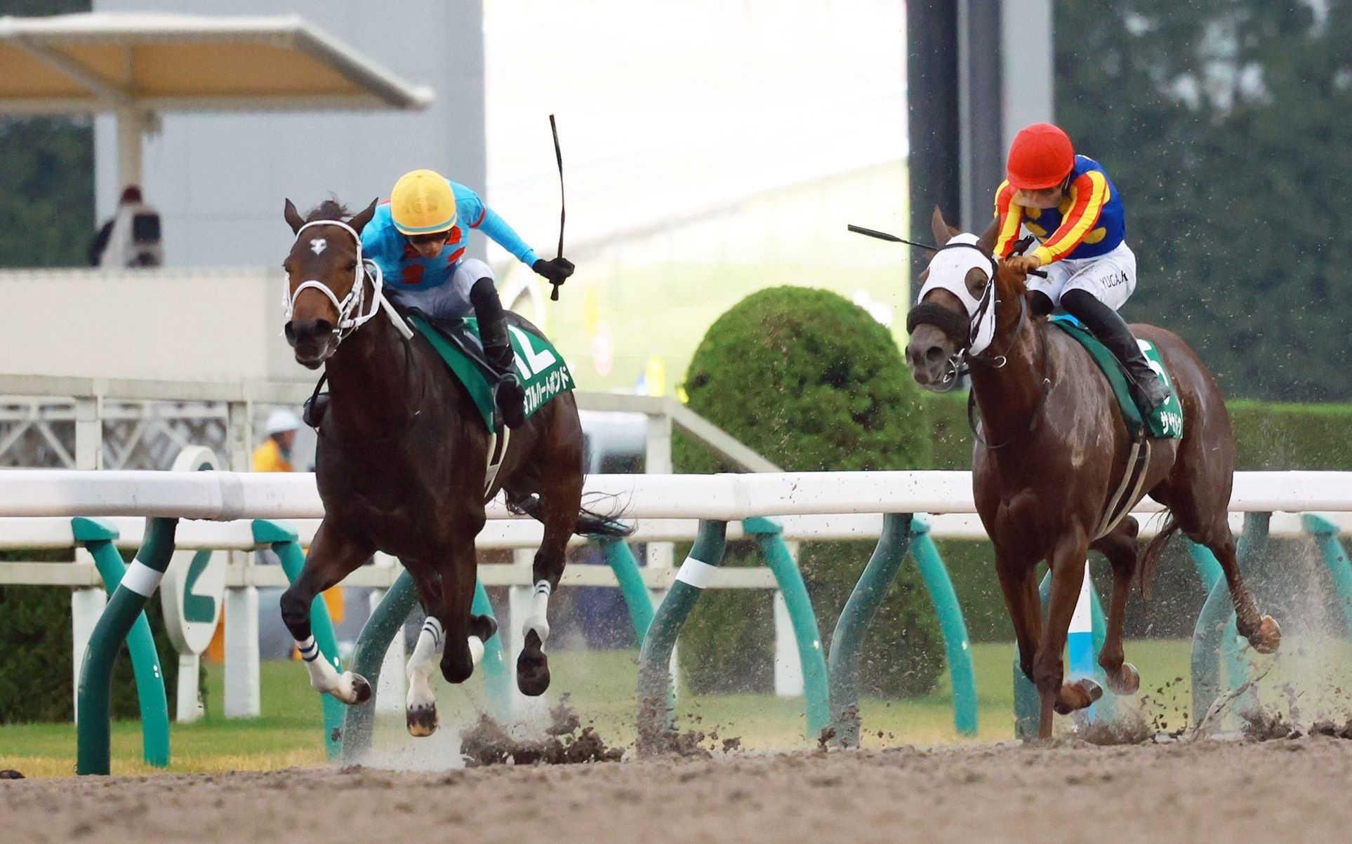 【みやこＳ】ダブルハートボンド　超速重賞初Ｖ！コースレコード０秒３更新　牝馬の勝利は初、坂井「次も楽しみ」