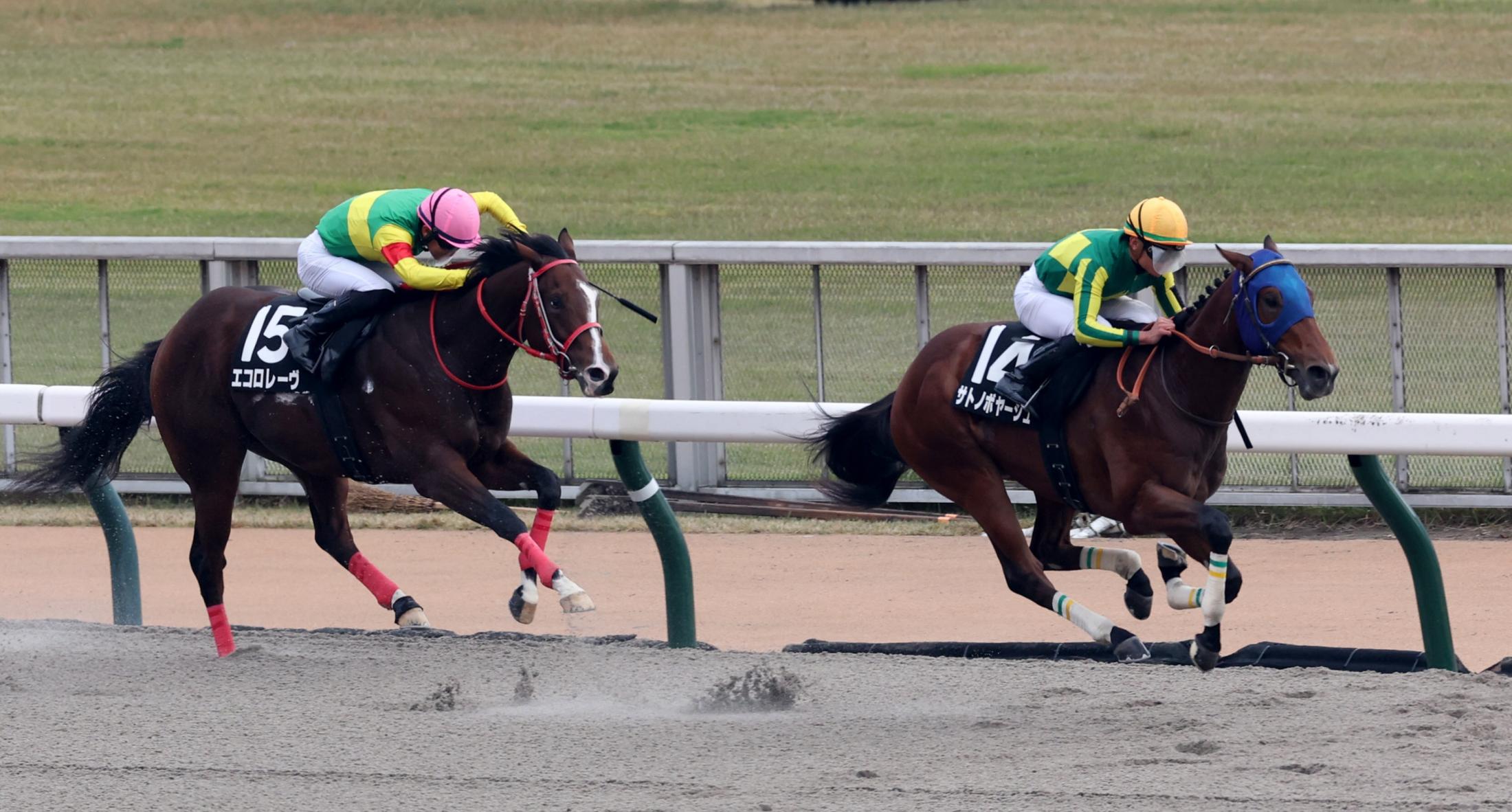 【オキザリス賞】サトノボヤージュ　５馬身差圧勝　岩田望「素質の高さを見せつけてくれた」