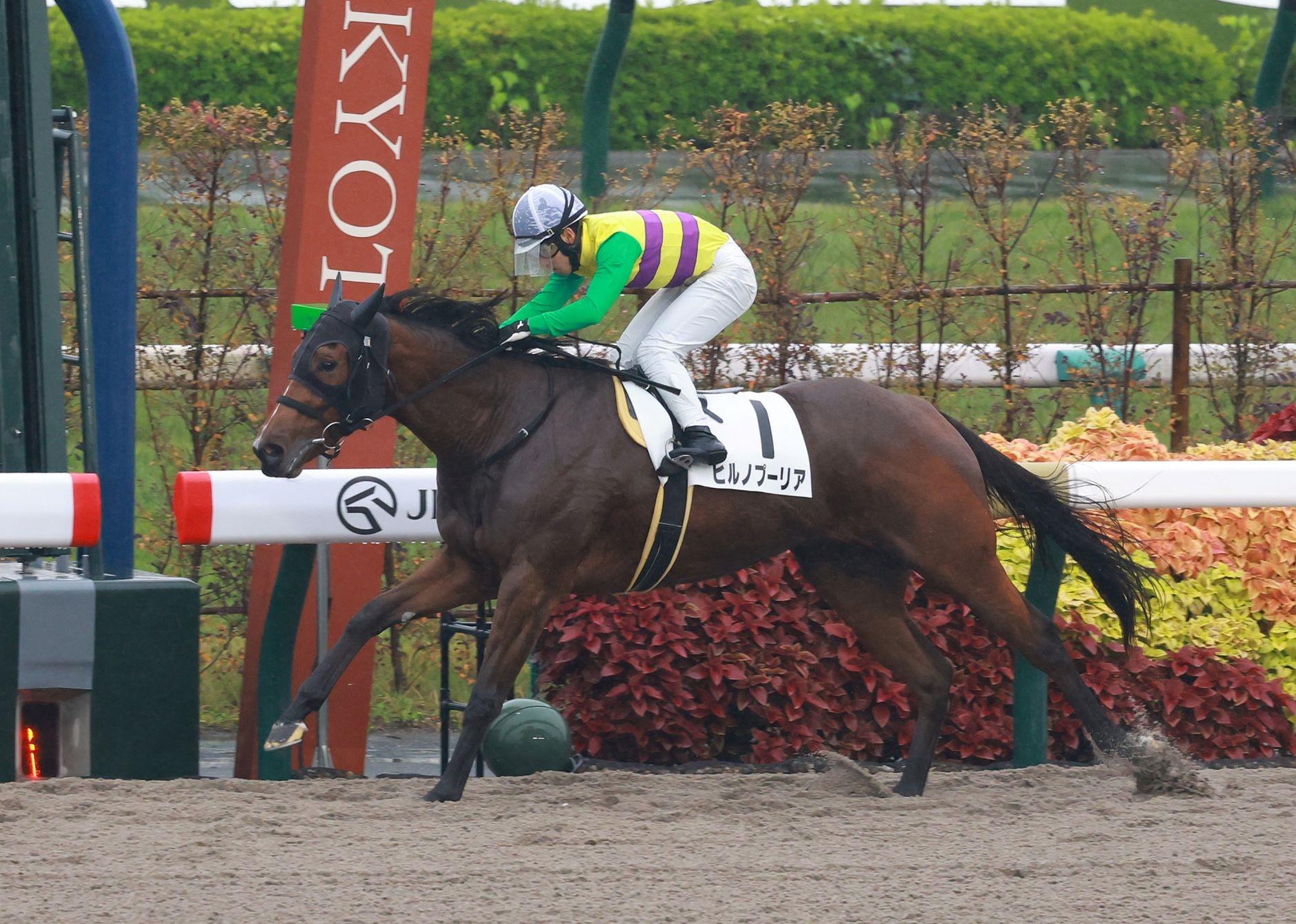 ڿۥҥΥסꥢȯƨ̭֡ŪʶϤǤ