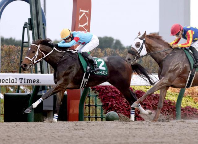 【みやこS・レースメモ】ダブルハートボンド重賞初制覇　坂井瑠星騎手は4回目の騎乗で初勝利