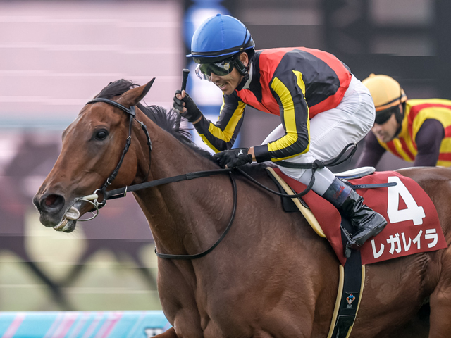 ڥꥶ٥ոɤۼ̤Υ쥬쥤