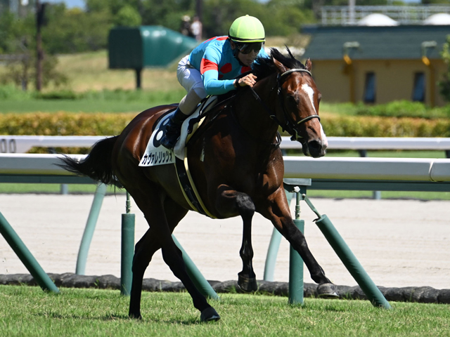 ڥǥ꡼2Sɤ۽郎äåĥ