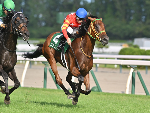 AIͽۡꥶ٥ա۴ͭǴϤη̤!? ͹ǽƤ3Ƭ˹ɾ