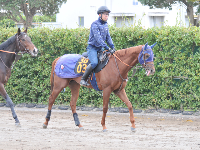 G1ϤΥΥޥ ա֤ԡɤꤽ/ϥᥤǥӥ塼