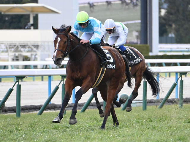 【エリザベス女王杯展望】データから妙味十分！パラディレーヌが狙い目