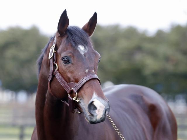 22ǯ23ǯǯɽϥʥ ﲴ륢åɤ