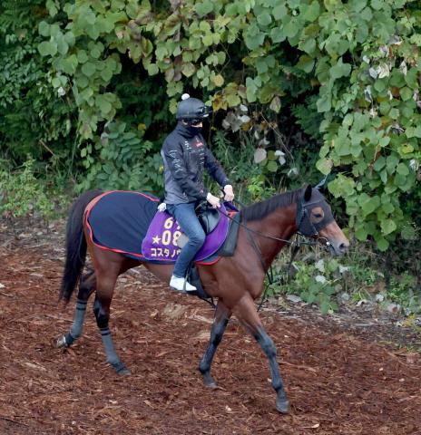 ¢SۥΥϡָǤϥ٥ȡסرĤG1ޥǴ֤