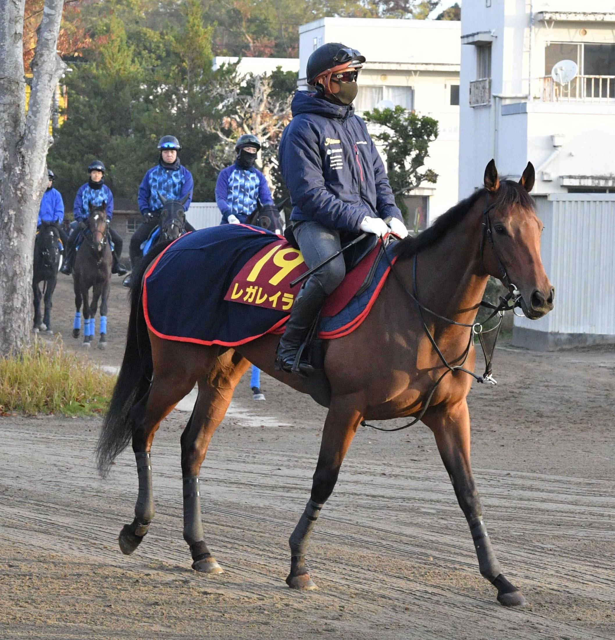 ڥꥶ٥աۥ쥬쥤顡ǣܤػ볦ɹư֤ǡͣθ