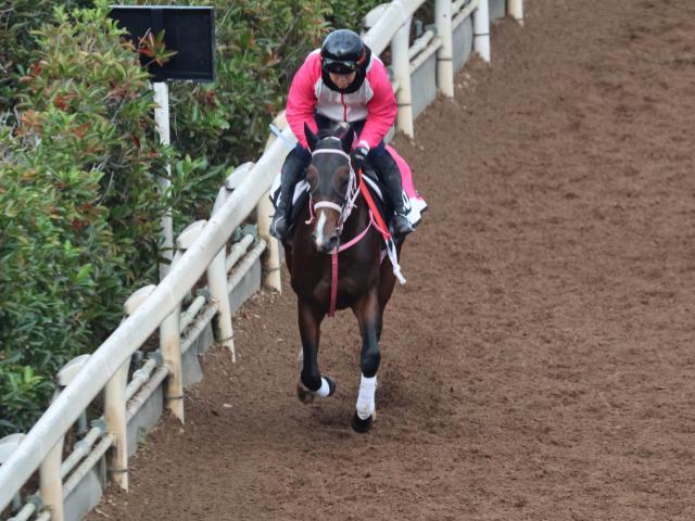 Х륻Ȥʤɡ轵/ȥ쥻˥塼