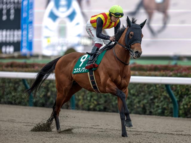 ¢SͽۥåۥΥͽ1ֿ͵