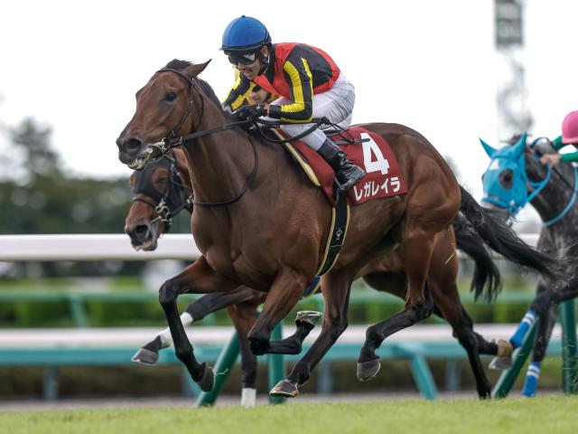 ڥꥶ٥ͽۥåۥ쥬쥤餬ͽ1ֿ͵