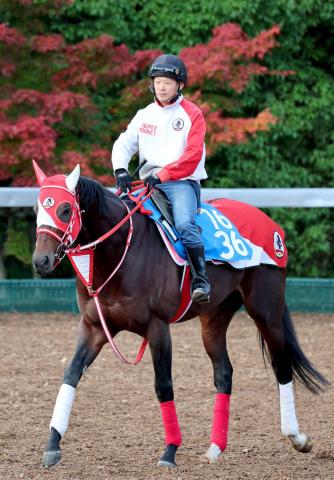 ¢SۥեС󥰤³Ʊꥢ륹ƥ뻺&4в&ˤΥӥ䤬ž޽V