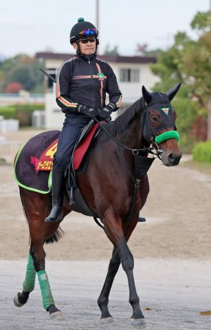 ڥꥶ٥ա2Ϣ楪饨åϿĴդΡ¢ûҡɡĹľǵӤȤΤʡ