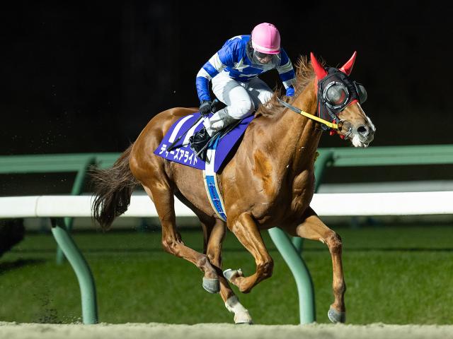 ޷̡ۥƥ饤Ȥƨڤäƽž޽