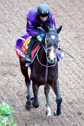 ڥꥶ٥աG12Ƭ԰ǡ̺3Х󥯥ƥåפľ