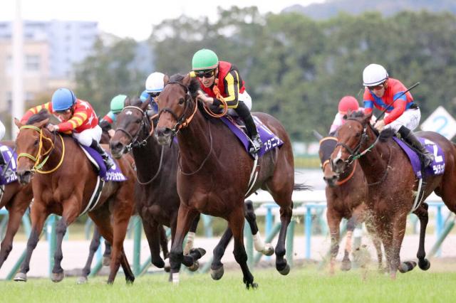 ڥꥶ٥աϿ11ֿ͵Ϥǽˤʤä96ǯʹ1ֿ͵鷺6ƬϹ?