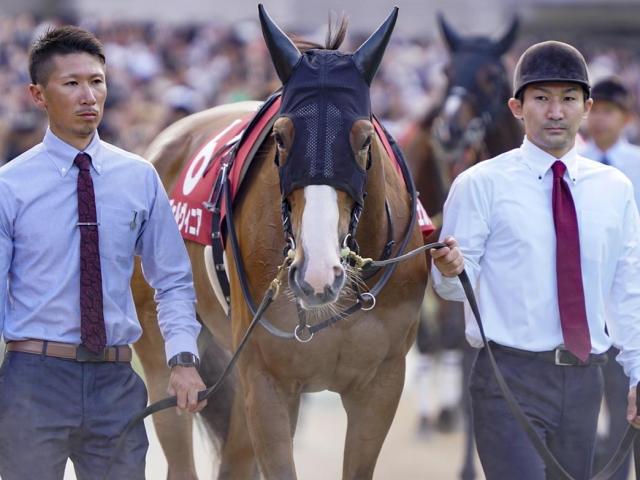 マイルCSと好相性のハービンジャー産駒 チェルヴィニアが復活Vなるか