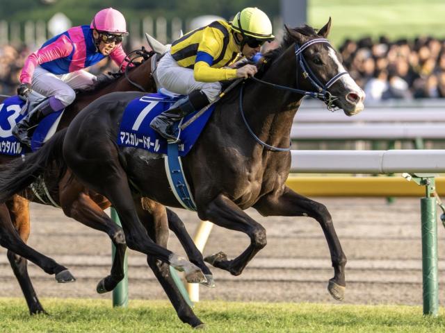 RHѥCƤʤ뤫 ޥ졼ɥܡ뤬ǻ