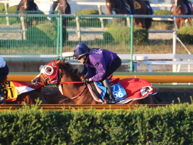 󥨥ڥ顼ѥC2ɤڤ®/ȥ쥻˥塼