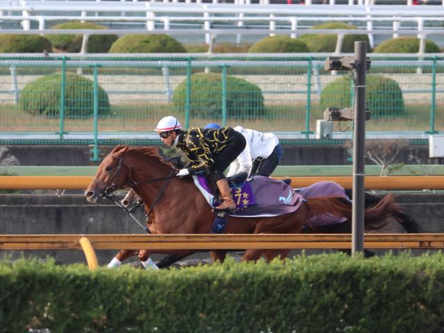 Υǥ롢ѥC2ɤڤ®/ȥ쥻˥塼